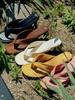 Komorebi Museum 8 Colors_Leather & Suede Shirred Strap Flip-Flops L Km468 (A Type)