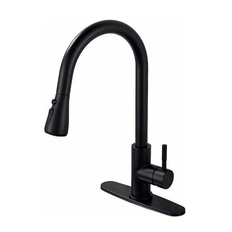 Rotatable Kitchen Faucet: Hot/Cold, 304 Stainless Steel, Pull-Out Retractable