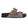 Zaxy Womens/Ladies Leopard Print Double Buckle Sliders