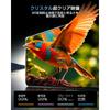 Weipin 9 Inch StAndard Memory Navigation Film For Daewoo Rocky And Tall Nmzn Y73