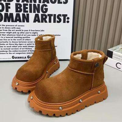 Mode Damen Knöchel Plateau Schneestiefel Flats Fell Wildleder Warm Plüsch Baumwollschuhe Frau Marke Winter 2025 Trend Goth Lässig Botas Mujer