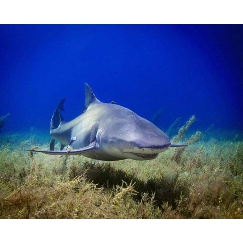 5D Diy Diamond Painting Set Animal Shark Pictures Of Rhinestones Embroidery Mosaic Cross Stitch Home Decor 40x50cm