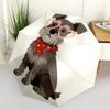 1pc Heart-shaped Glasses Dog Illustration Umbrella with Plastic Handle,Suitable for All Seasons Home Travel Outdoor Umbrellaptys31061