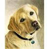 Lonely Dog Diamond Painting Set, 5D Cross-stitch Craft Painting, DIY Gem Rhinestone Crafts Decoration Home Wall Mural