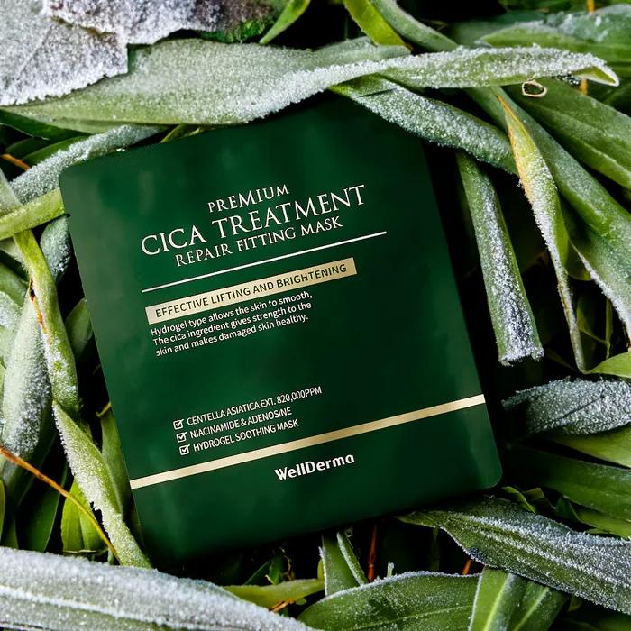 [True Moisturizing Cica Mask Pack]_Wellderma Cica Repair Hydrogel Fitting Mask Pack 4 Sheets