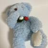 [USED] TAKE OFF Teddy Bear Plush Toy with Magnetic Limbs