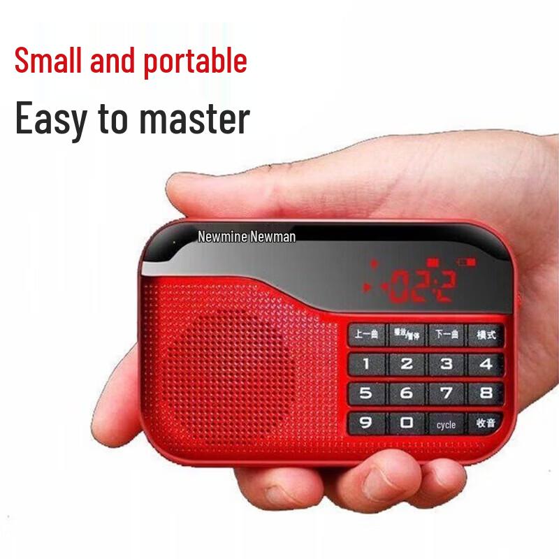 Newmine N63 Portable Radio CN plug (adapter included)