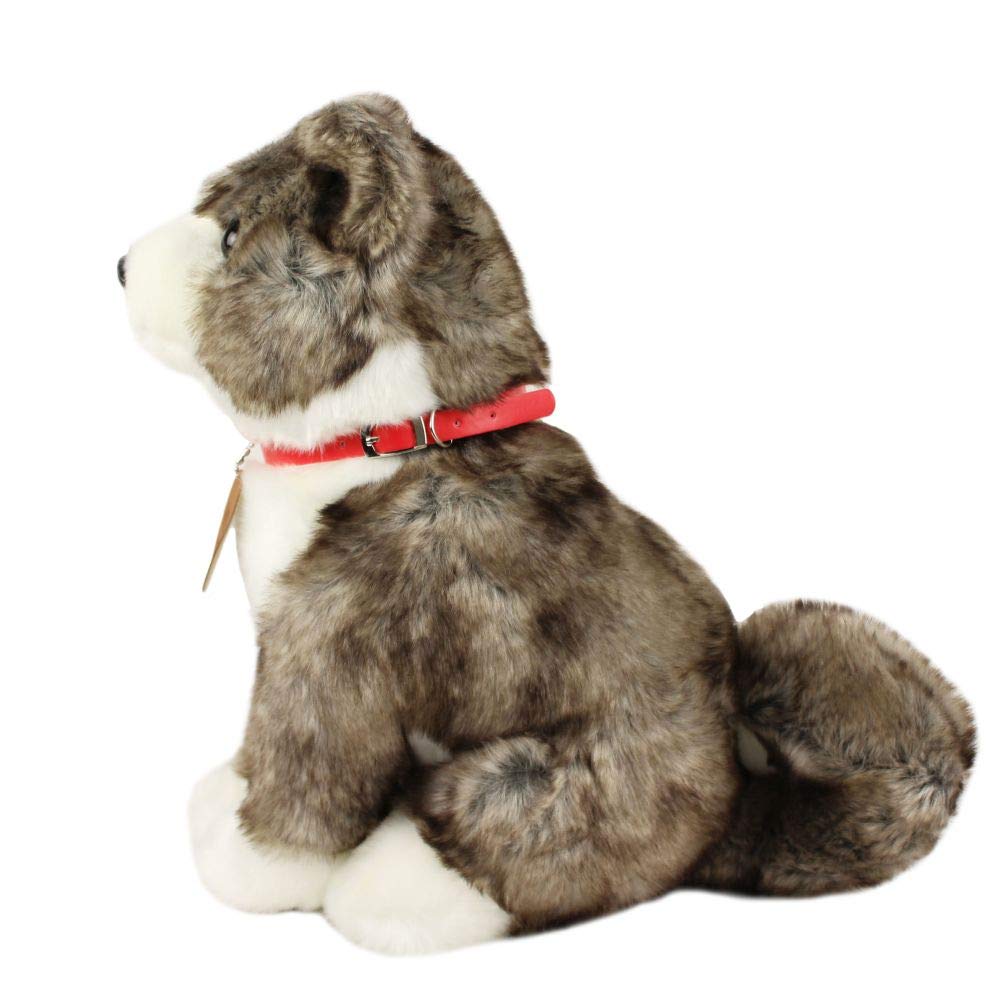 Cute Sales Akita Inu Tiger Hair Large D0021 H37 X W20 X D40cm