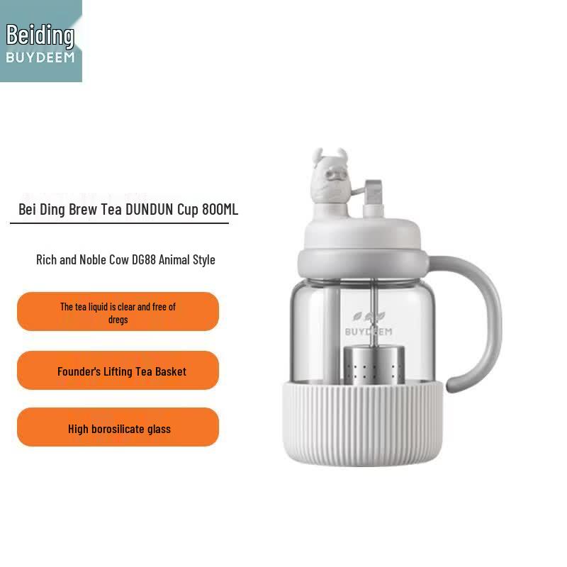 Beiding 800ML High Borosilicate Glass Tea Infuser Bottle