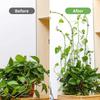 10-30pcs Plant Climbing Wall Fixture Clips Invisible Plant Clips Self-Adhesive Hook Vine Traction Plant Clips Home Garden Decor