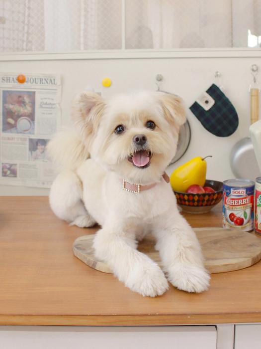 MAISON DE MIU Квадратный жемчужный воротник_Розовый Rose Pink