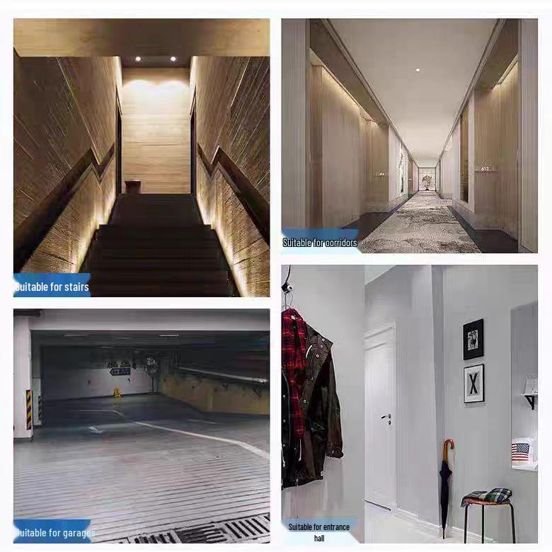 LED Bulb with Human Body Induction & Light Control - Works with 12V, 24V, 36V, and 110V