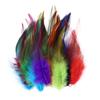 50/100pcs Natural Pheasant Chicken Feathers 10-15cm Colored Cock Plume for Handicrafts and Needlework Dream Catcher Accessories