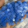 50g 5mm 7mm Matte Five Petal Sequins Flower Flat Sequins Loose Glitter Paillettes Handcraft Sparkle Loosen Sequins