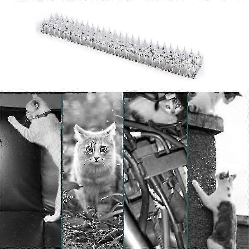 Zaun Wandspikes Katze Tierabwehr Diebstahlschutz Wände Schuppen Stopp DJD