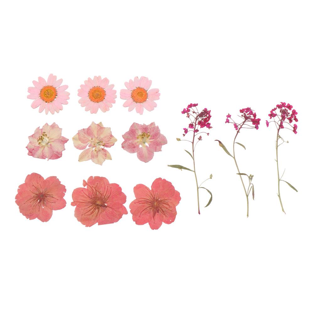 Filling Materials Jewelry Making Resin Filler Resin Mold Filling Flower Beauty Decal Dried Flowers