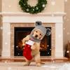 Windproof Dog Warm Hat Soft Pet Headwear Ear Flaps Cat Knit Cap  Winter