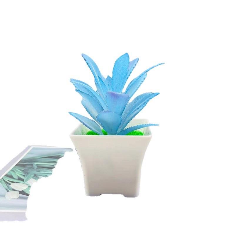 Simulation Crassula Muscosa Echeveria Laui Succulent Plant Bonsai Artificial