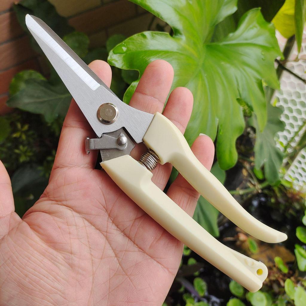 Handmade Pruning Shears: Floral Art & Garden Tools for Fruit Trees