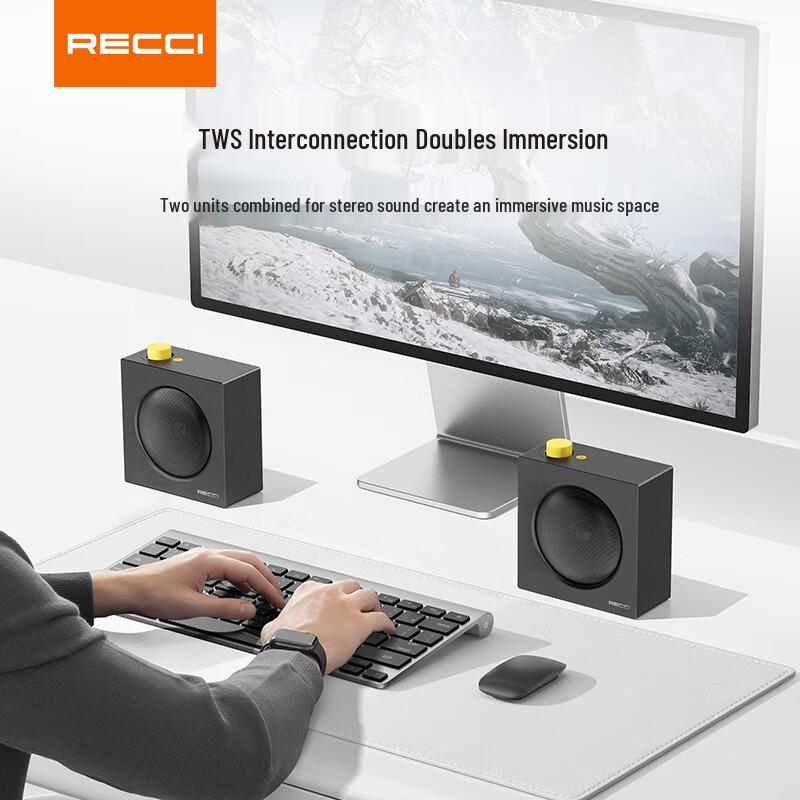 Recci RKS-W46 Outdoor Bluetooth Speaker CN plug (adapter included)