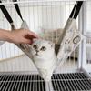 Letto Sospeso per Gatti e Cani Piccoli in Tessuto Traspirante Adatto a Tutte le Stagioni
