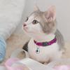 Pet Cat Safety Buckle Dog Small Dog Patch Cloth Bell Shirmmering Adjusted Collar