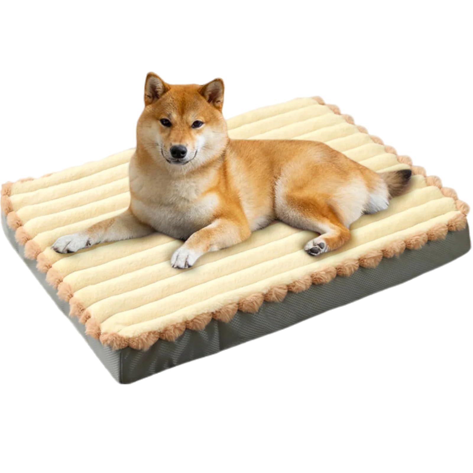 

DICOCO Dog Cat Fluffy Pet Dog Cat Pet Suitable for and Small Comfortable Leisure Durable Bed, Bed, All-Season, Bed, Washable, Removable, Non-Slip,