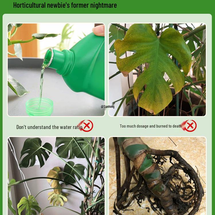 Monstera Foliar Spray: No-Dilution Nutrient Solution for Hydroponics, Rust Spots & Yellow Leaves Treatment