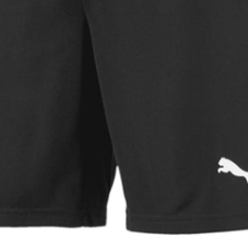 Puma Team Goal Men S SweatShirt polyeSter Training ShortS