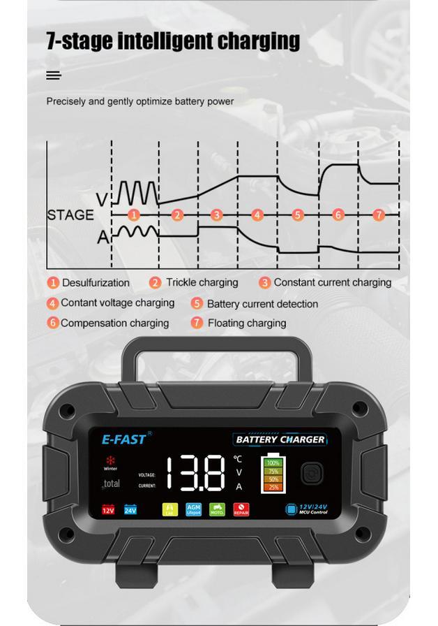 E-FAST High Power Lead-acid & Lithium 12V/24V Battery Charger, 20A/10A