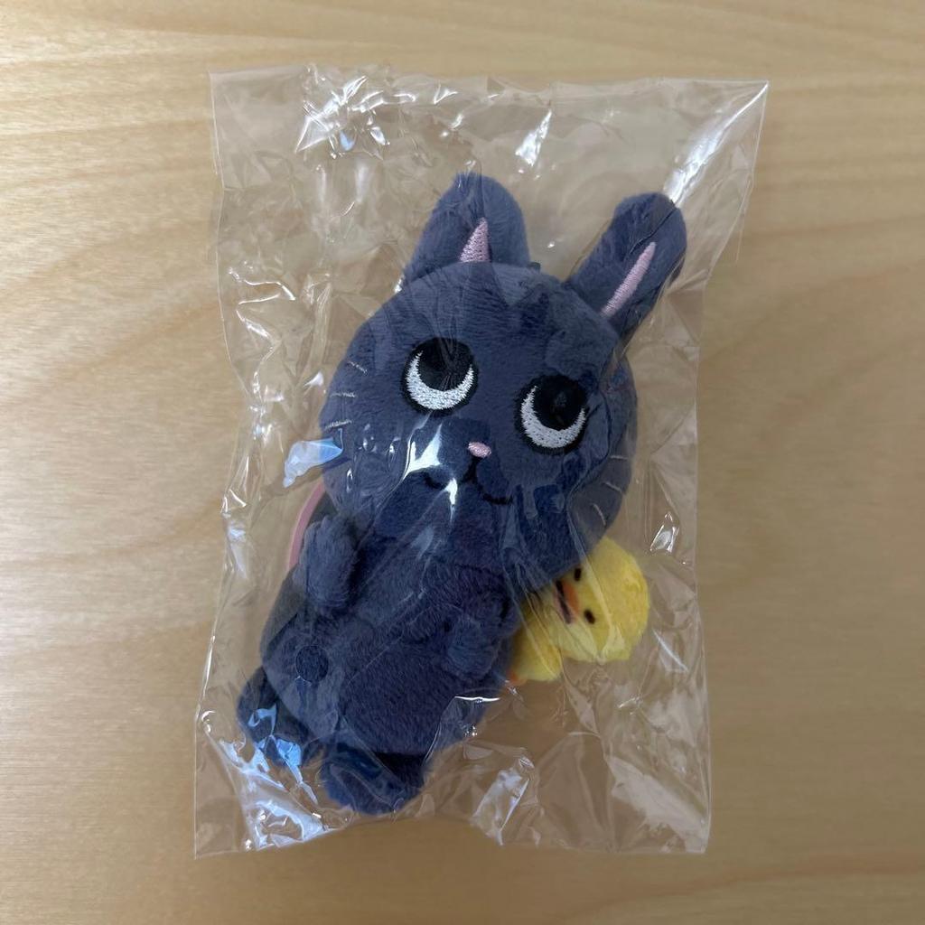 Used RIIZE WONBIN 10cm Plush Keyring