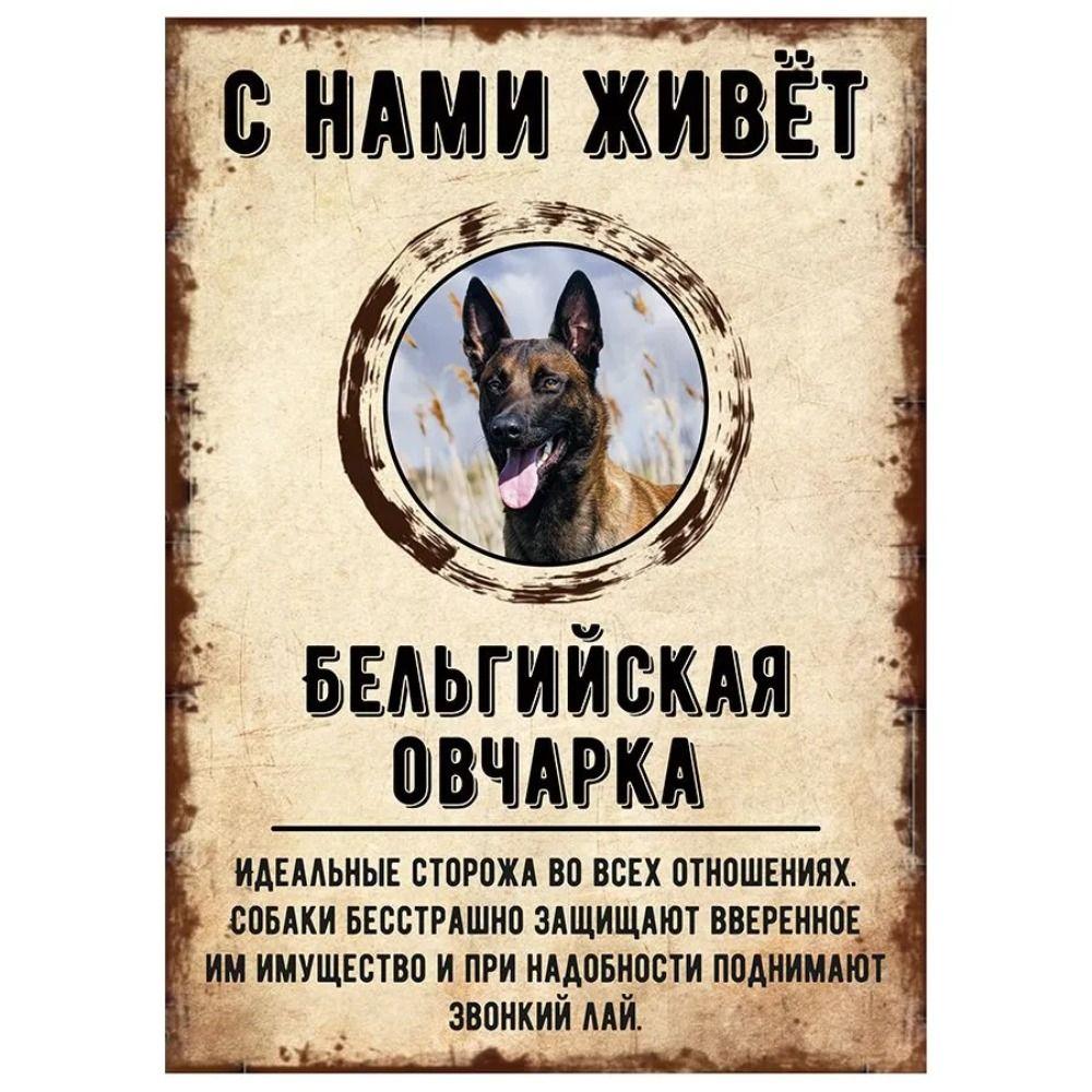 Schild, dekorativ, GEFAHR HUND, Schnauzer lebt bei uns, 20x30cm