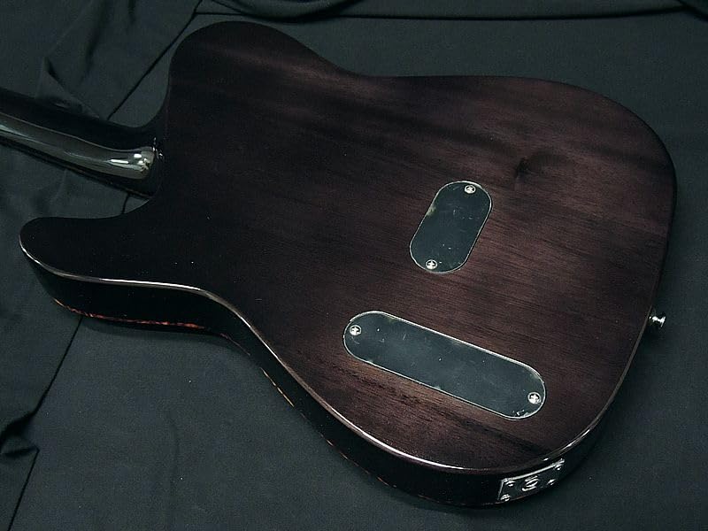 SCHECTER VNTL Gloss Finish Schecter Thin Body Acoustic Guitar F Hole Electric Acoustic Telecaster Shape Natural Passive OL-FL-P