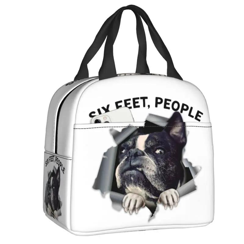 

Бостонские терьеры любят хозяек, собак, портативные ланч-боксы, герметичные охладители, термосумки для еды, школьные дети 22x20x13CM слоновая кость