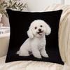 1 Stück Bichon Frisé Druck Kissenbezug, Geeignet für Sofa, Schlafzimmer, Wohnzimmer, Ein herzerwärmendes Geschenk für Hundeliebhaber