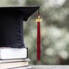 10 Piezas Borlas de Graduación 2026 con Colgante del Año Borlas para Birretes y Togas Académicas y Ceremonias de Graduación
