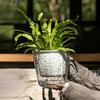 Flowerpot PET Highly Transparent Self-Watering Planter with Glacier Pattern Double-Layer Design Breathable Inner