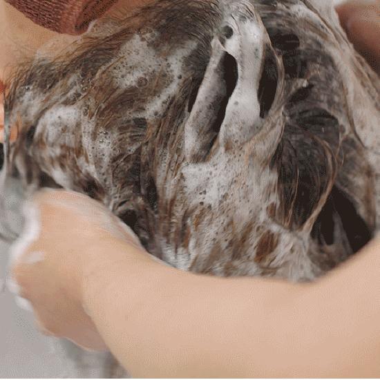 JUNGSAEMMOOL Salon.zip Protein Recharging Shampoo 400ml