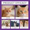 Pet Eye Tear Stain Cream, Universal Eye Care For Cats And Dogs, Moisturizing And Soothing, Portable Pet Care.