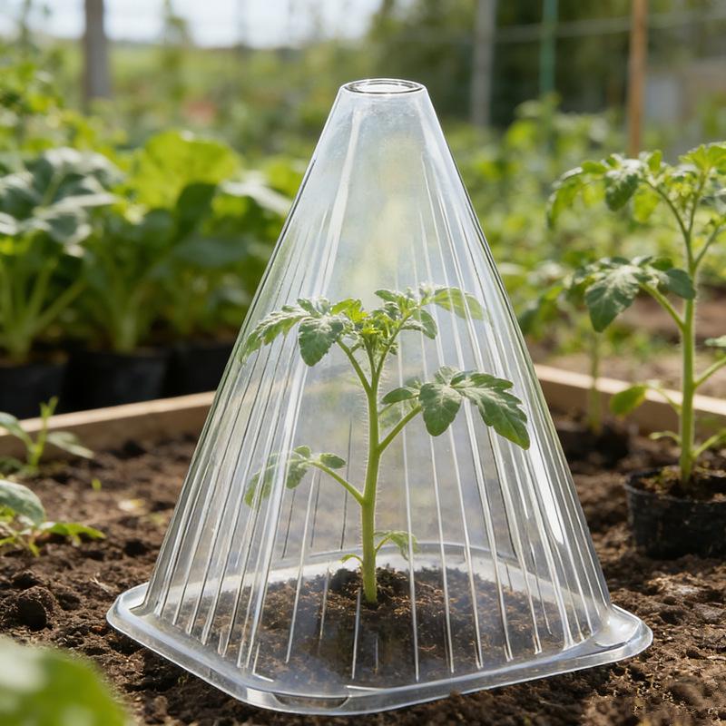 Transparent Conical Windproof Seedling Protection Bell - Rainproof, Heat Retention, High Transparency Cover