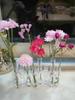 Foldable Transparent Glass Vase for Tulips - Modern Hydroponic Display and Decoration.