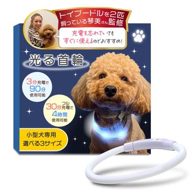 Köpek – Köpek Tasmaları ve Tasma Kayışları