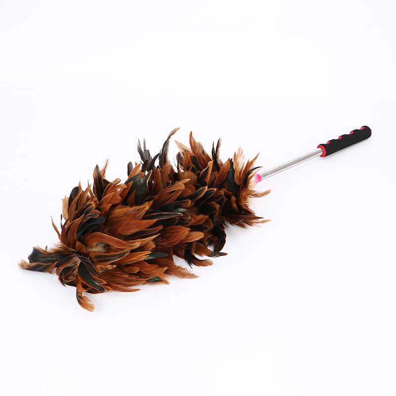 JNL Telescopic Feather Duster