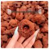Aquarium Volcanic Rock Filter for Aquatic Planting and Water Purification