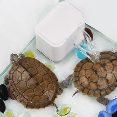 Filtro para Tanque de Tortuga Nivel Bajo de Agua Calidad del Agua Bomba de Agua Purificada Bomba para Tortuga de Acuario Suministros para Mascotas