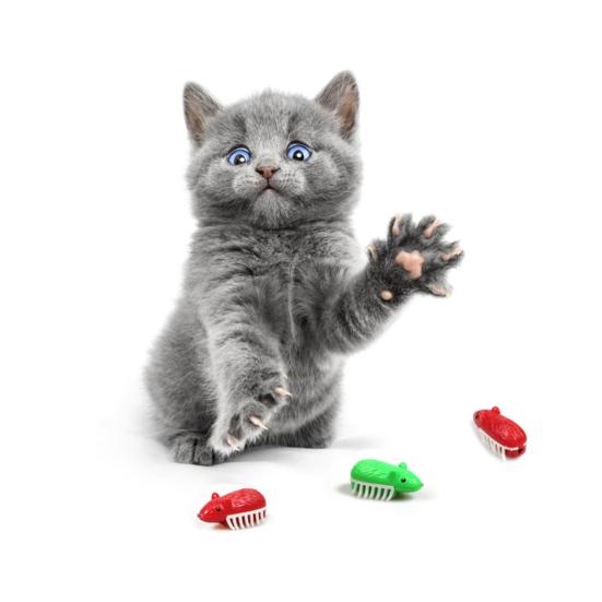 Cat Toy Interactive LED Mouse Design Bite-resistant Stress Relieve Teeth Grinding Entertaining