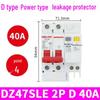 Delixi Type D DZ47SLE 220V 2P Miniature Circuit Breaker with Earth Leakage Protection.