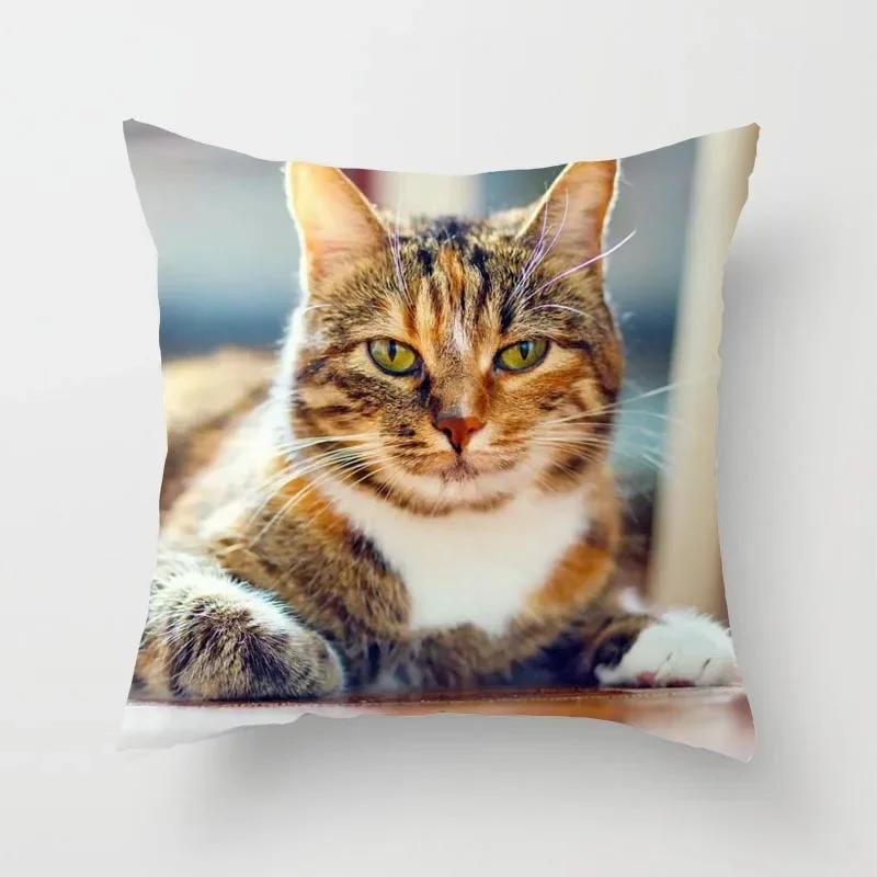 Cat Sofa Pillowcase Cushion Cover     Bed Home Living Room Car Office