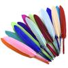 Black White Red Pink Blue Duck Feathers For Clothes Handicraft Accessories Goose Geese Feather Jewelry Making Diy Craft Supplies