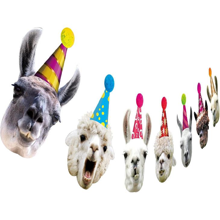 Llama Birthday Garland, Funny Alpaca Face Portrait Bunting, Hilarious Bday Party Decoration…